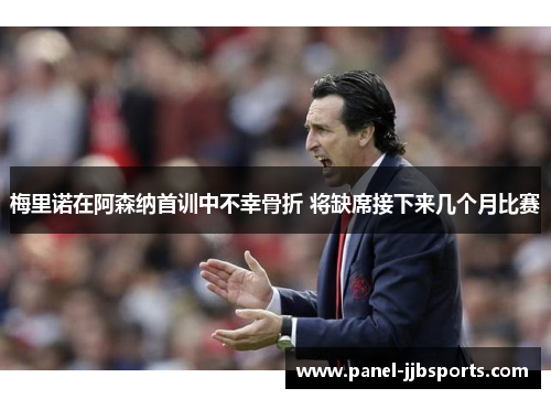 梅里诺在阿森纳首训中不幸骨折 将缺席接下来几个月比赛 梅里诺在阿森纳首训中不幸骨折 将缺席接下来几个月比赛